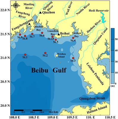 Metabarcoding reveals a high diversity and complex eukaryotic microalgal community in coastal waters of the northern Beibu Gulf, China